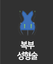 비의원복부성형술